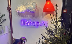 lilishop.ru