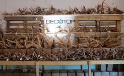 Decotop