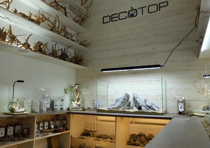 Decotop