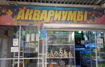 Магазин аквариумов