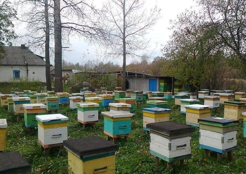 Bee-box.ru