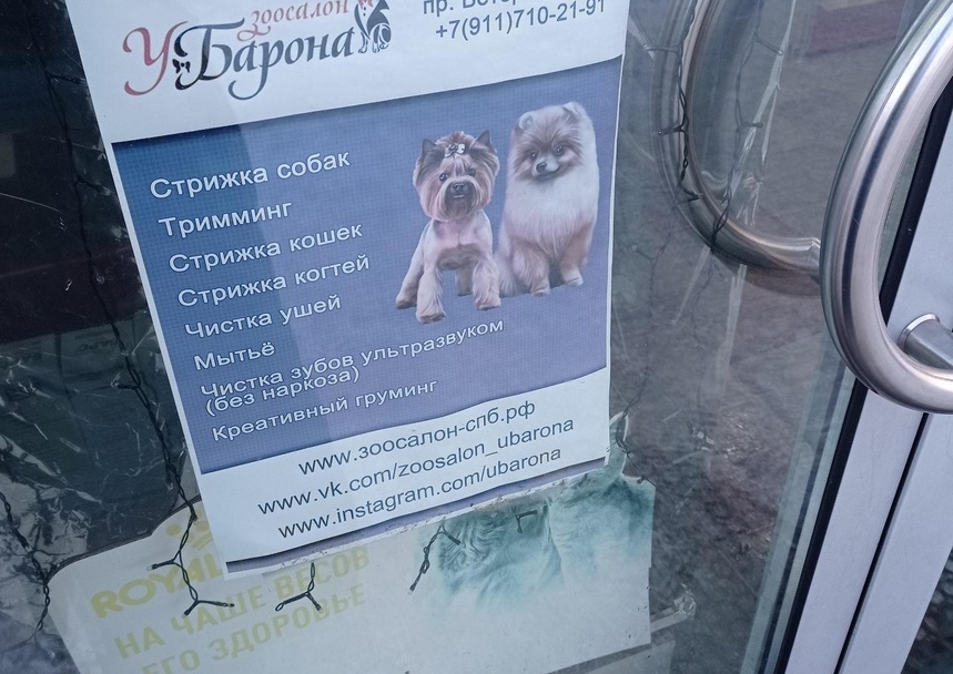 У Барона