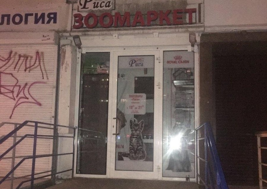 Риса