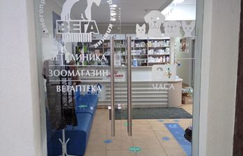 Вега